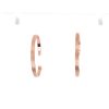 Rose_Gold_Hoops_Mesh